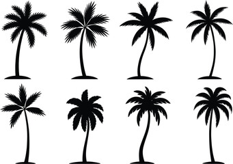 Fototapeta premium Tropical palm trees silhouette collection black white