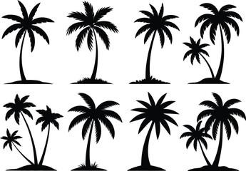 Tropical palm trees silhouettes black and white nature