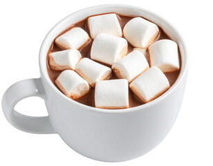 Hot Chocolate with Marshmallows in White Mug
