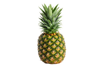Fototapeta premium Fresh Pineapple with Spiky Green Top Isolated on White