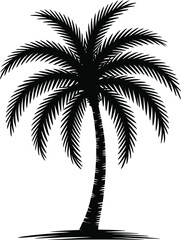 Tropical palm tree silhouette black and white nature