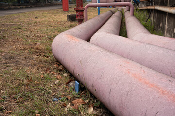 Rows of weathered, dusty pink industrial pipes running along dry grass and concrete, outdoors.