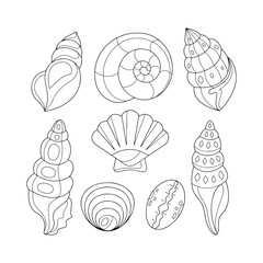 seashell silhouette