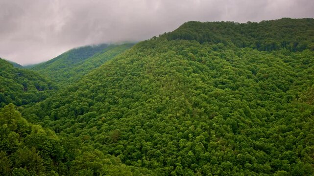 Aerial view of the Smoky Mountains wrapped in swirling mist
