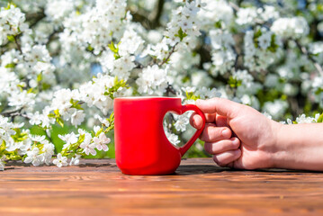 The girl holds in her hand heart shaped mug with tea against the background of blossoming cherry
