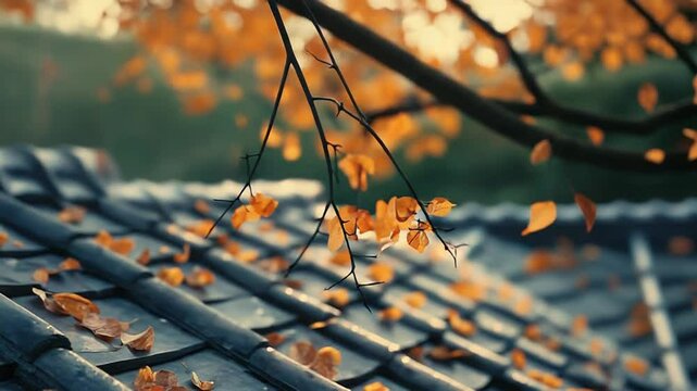 Orange autumn leaves falling on a wet roof tiles