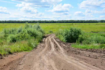 Dirt road through a green field going down the hill with a blue sky and fluffy clouds