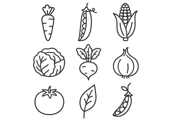 Hand-drawn vegetable icons: carrot, peas, corn, cabbage, beet, onion, tomato, leaf