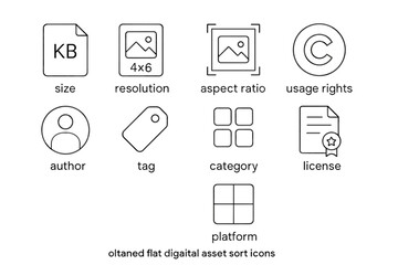 Flat digital asset sorting icons: size, resolution, usage rights, categories, platform