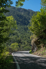 Curved alpine road through green mountains during summer