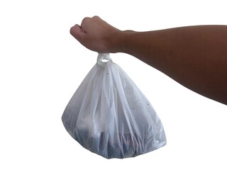 A hand holds up a tied white plastic trash bag, appearing full and ready for disposal, isolated on...
