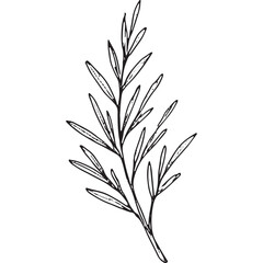 Admire this fine hand-drawn leaf outline, great for design, crafts, and decor. Top-quality vector art