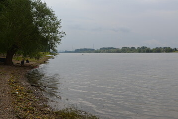 Rhine_023