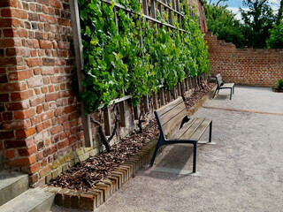 wooden wine trellises. brick red wall with recessed lights and drainage pipes for draining drainage...