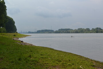 Rhine_018
