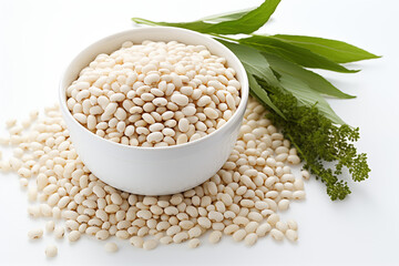 White beans fill a bowl with fresh green leaves, a healthy food option on white background