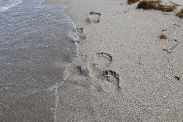 footprints in the sand with ocean wave