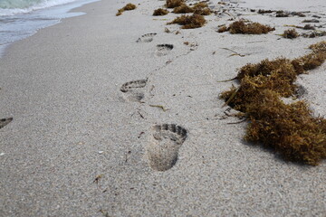 chain of footprints on the beach