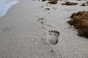 Chain of footprint in the sand
