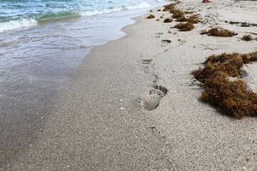 footprints on the beach