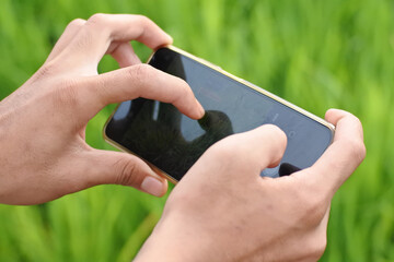 Hands holding a smartphone taking close-up photos of green plants in a field, illustrating digital...