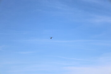 helicopter on distance on blue sky