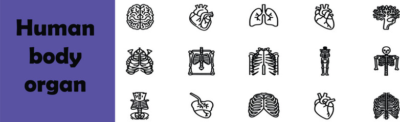 Fototapeta premium Collection of human body organ icons including brain heart lungs kidney and other vital organs