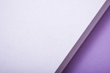 Diagonally divided 3d purple background copy space