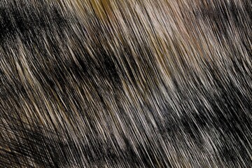 Abstract pattern graphic posters. Funky abstraction geometric texture print design, contemporary backgrounds minimal bold forms geometry shapes colorful ornaments. Vector set.