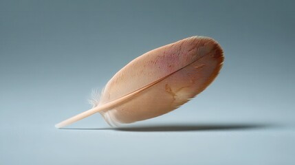 Delicate macro view of a single feather on a soft background showcases intricate details and textures. Chicken Boy Day