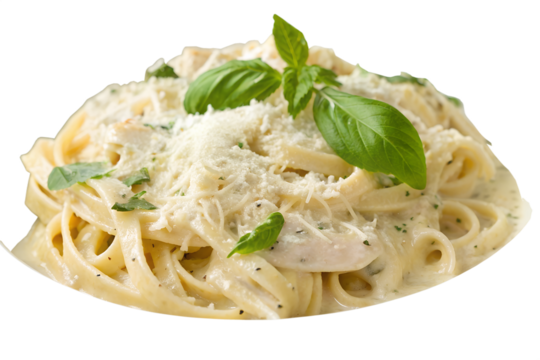 Delicious Chicken Alfredo Pasta with Basil on Black Background silhouette on white background