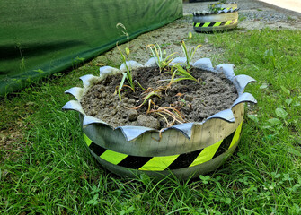 An old tire can be used to make a flower pot in the parking lot. Cutting it and turning it inside...