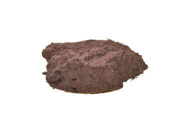 earth isolated on white background