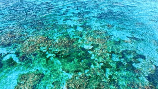 Aerial view of coral reef at low tide with rocks under emerald water. Drone view of deep blue ocean with turquoise shallow water and shiny coral reef. Underwater rock on tropical island.