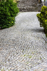 cobblestone road in the city