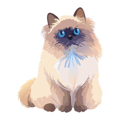 Beautiful Fluffy Ragdoll Cat Sitting Pose Illustration