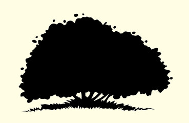 Vector drawing. River in the valley