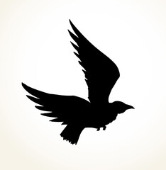 Vector drawing. Big flying bird