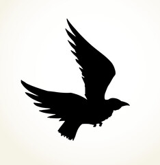 Vector drawing. Big flying bird