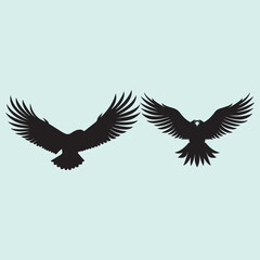 Obraz premium Bold Bald Eagle Silhouette Pose