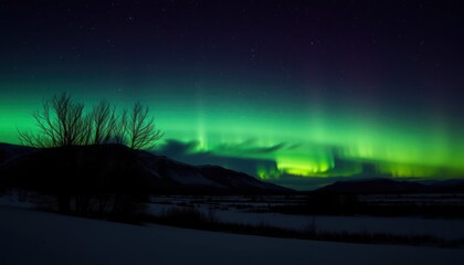 Fototapeta premium Vibrant aurora borealis illuminates a snowy landscape at night