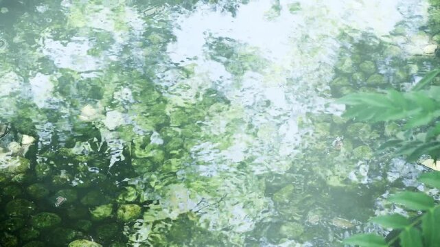 夏の森　強い太陽の日差しを受けてキラキラ光る湧き水が流れる小川の水の表面・波の模様と輝く光のボケ　暑い・猛暑・涼しい・夏休み・水遊び・バカンスの背景・避暑地・水源