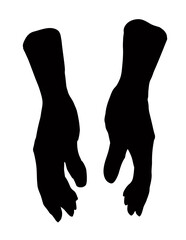 Young human hands. Vector drawing