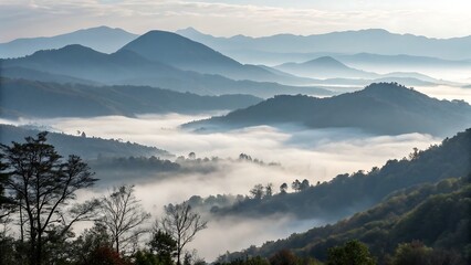 fog over the mountains,mountain, landscape, mountains, sky, nature, fog, clouds, sunset, view, hill, snow, morning, sunrise, mist, cloud, peak, forest, alps, blue, valley, misty, beauty, winter, trave