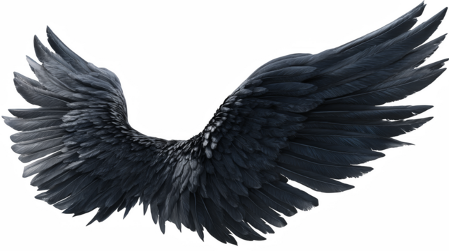Dramatic pair of black angel wings with intricate feather detail against a dark background conveys mystical elegance.