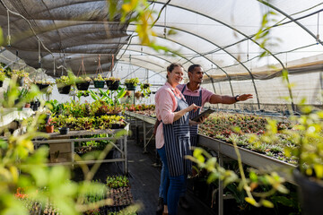Diverse coworkers examining tablet and pointing at potted succulents on benches in greenhouse
