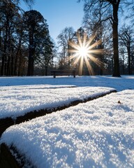 A snowy park scene with a sunburst shining through tall trees and a bench in the background on a clear winter day.