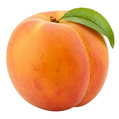 Juicy Peach: Vibrant Fruit Photography for Websites and Blogs