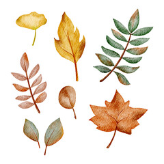 Hand-Drawn Autumn Fall Watercolor Set of Leaves
