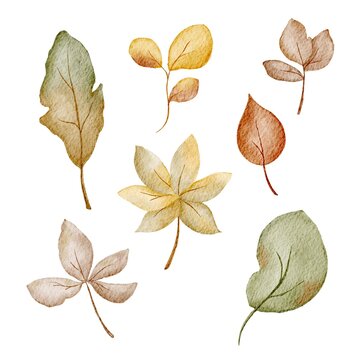 Hand-Drawn Autumn Fall Watercolor Set of Leaves